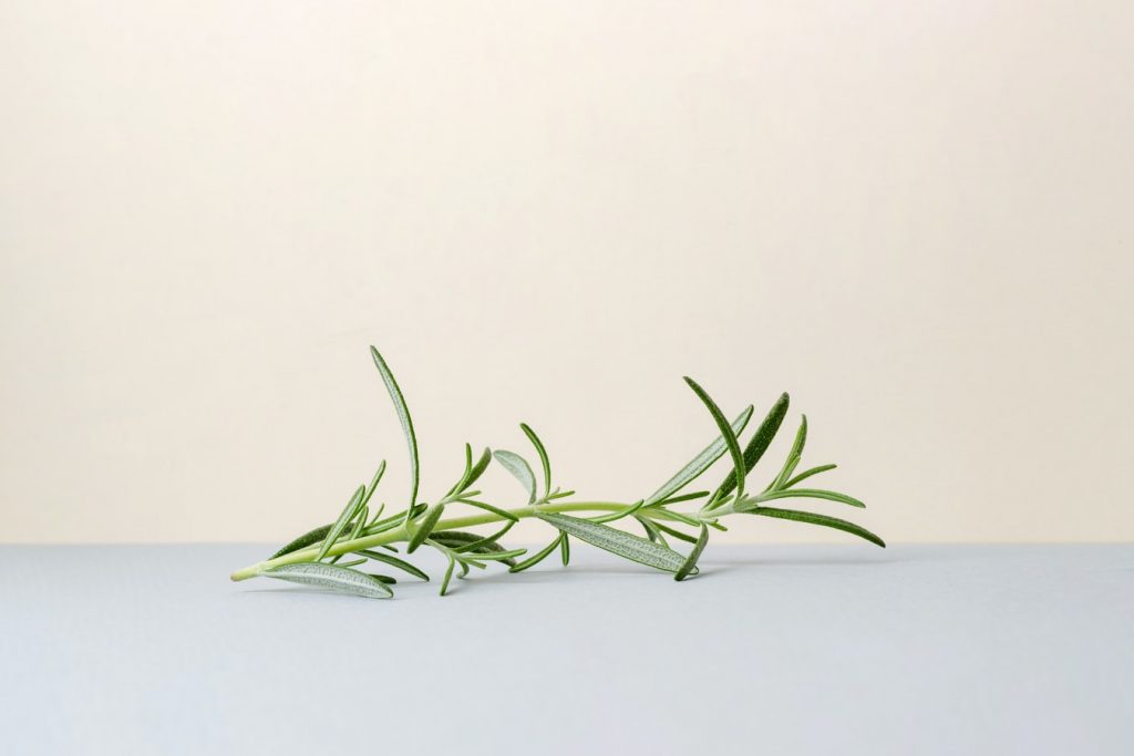 rosemary for gout
