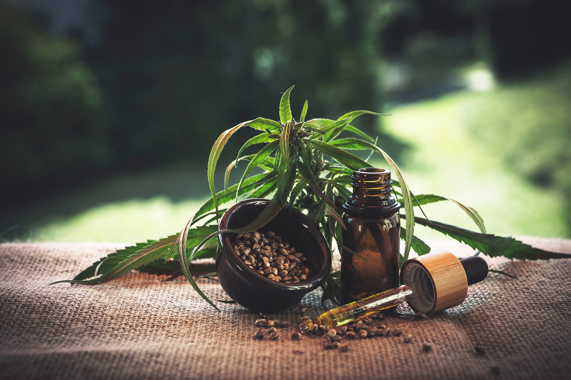 how to use cannabis oil